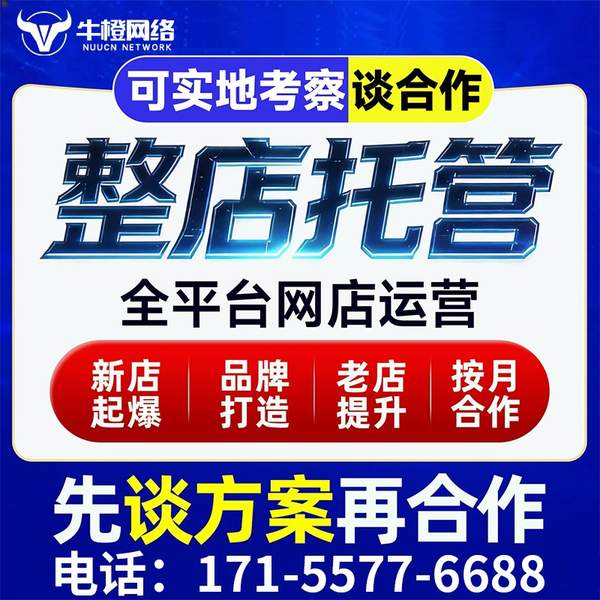 福安电商代运营