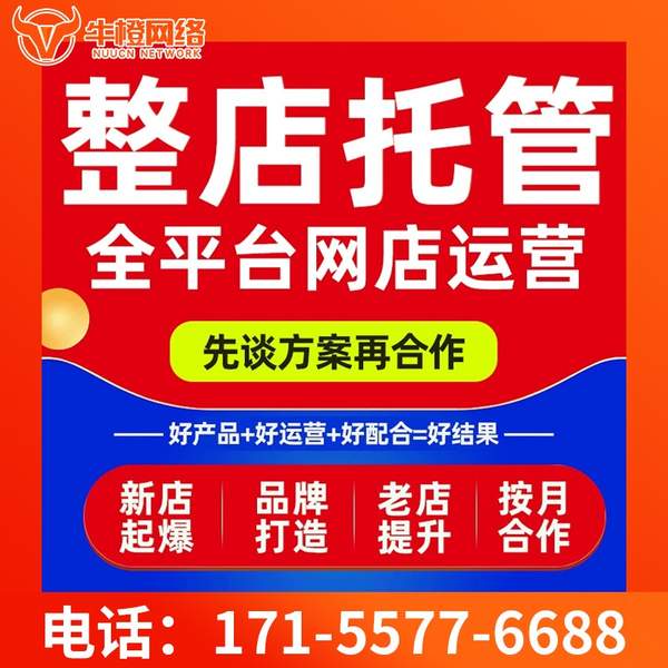 福安电商代运营