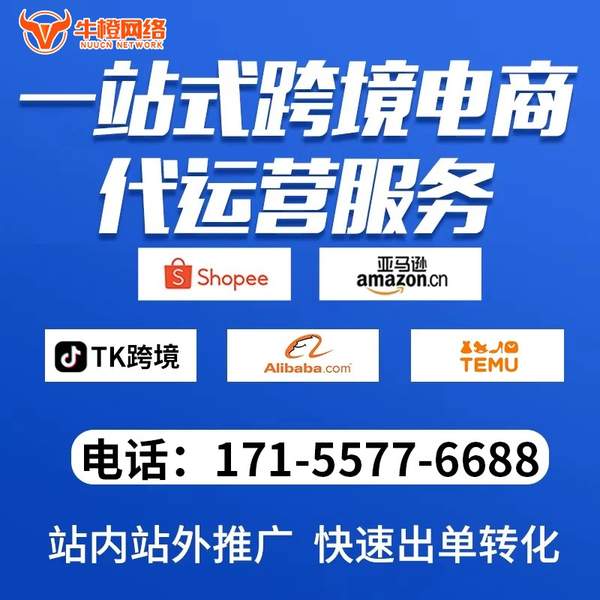 福安电商代运营